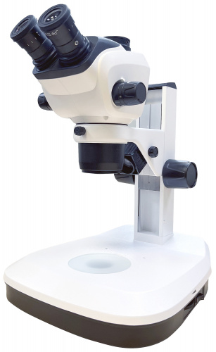 8d26ebf1-cf36-11ef-9d2e-000c29e1040d