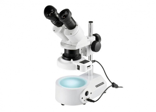 872d1f4d-cf36-11ef-9d2e-000c29e1040d